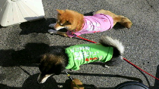 2012110409590001.jpg