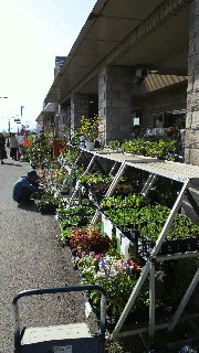 2012110420100000.jpg