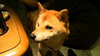 2012110602370001.jpg
