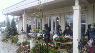 2012111708490001.jpg