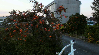 2012112107120000.jpg