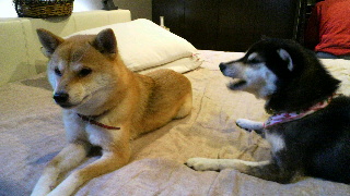 2012112107120001.jpg