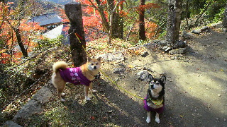 2012120112010000.jpg