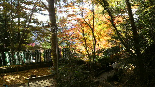 2012120112020001.jpg