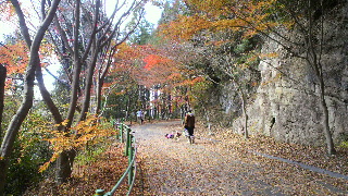 2012120112020002.jpg
