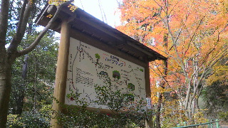 2012120112030000.jpg