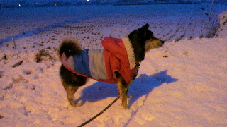 2012121006280001.jpg