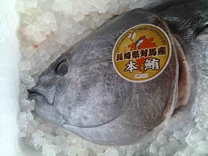 20130203_095106.jpg