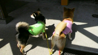 2013030920510002.jpg