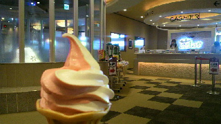 2013031010050001.jpg