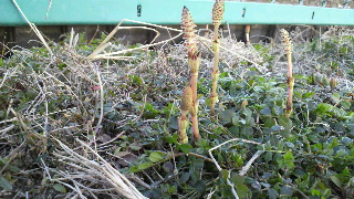 2013031206210000.jpg