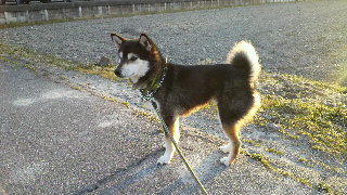 2013031206340000.jpg