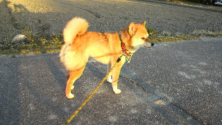 2013031206340001.jpg
