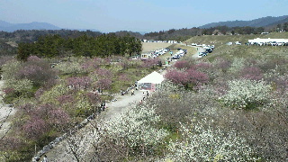 2013031720210001.jpg