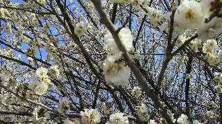 2013031720220000.jpg