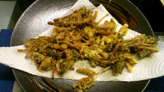 2013033120090000.jpg