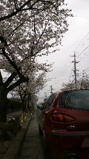 2013040102100000.jpg