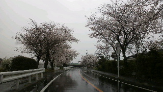 2013040102260000.jpg