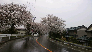 2013040102270000.jpg