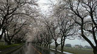 2013040102270001.jpg