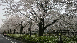 2013040103300000.jpg