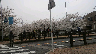 2013040103310000.jpg