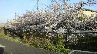 2013040609350000.jpg