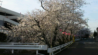 2013040609350001.jpg