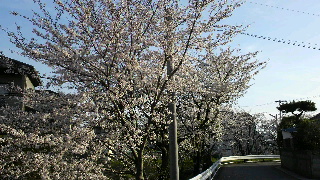 2013040609350002.jpg