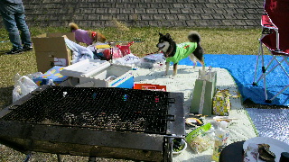 2013040610510000.jpg