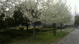 2013040618160000.jpg
