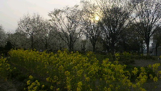 2013040618160002.jpg