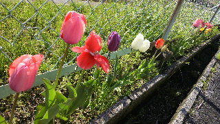 2013040708490000.jpg
