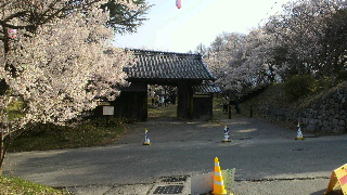 2013041420050000.jpg