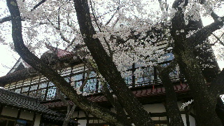 2013041420330000.jpg