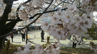 2013041421230000.jpg