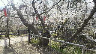 2013041503530000.jpg