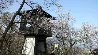2013041504000000.jpg