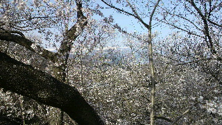2013041504070000.jpg