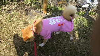 2013041504110000.jpg