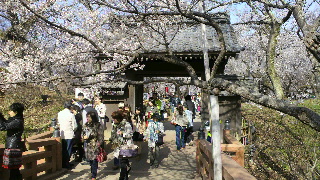 2013041504150000.jpg