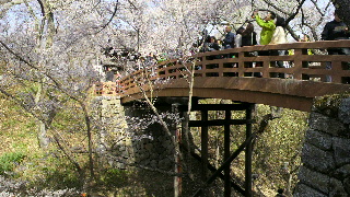 2013041504170000.jpg
