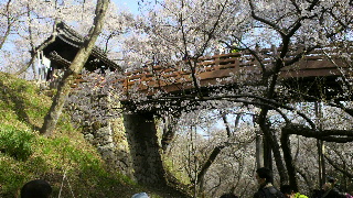 2013041504170001.jpg