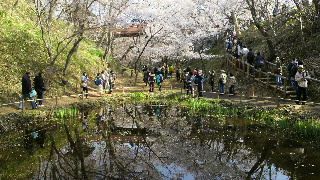 2013041504190000.jpg