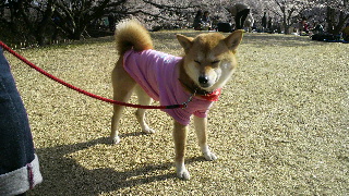 2013041504190001.jpg