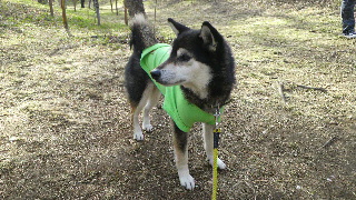 2013041504190002.jpg
