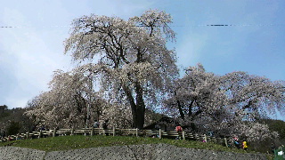 2013041607220001.jpg