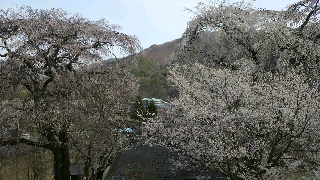 2013041607230000.jpg