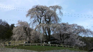 2013041607230001.jpg