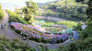 2013062217240001.jpg